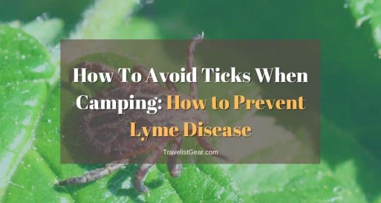 How To Avoid Ticks When Camping