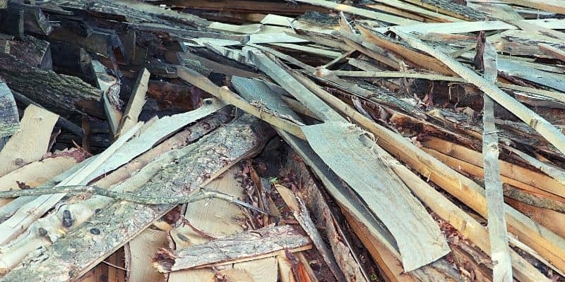 Kindling